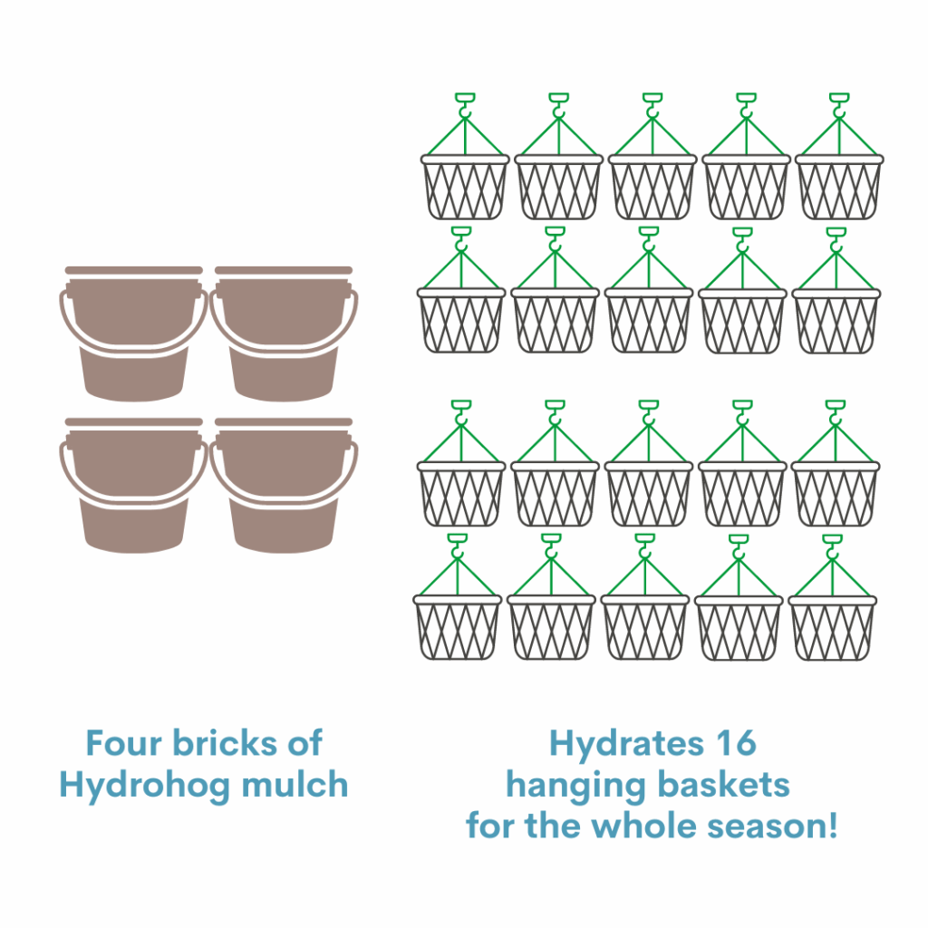 Plant hydration